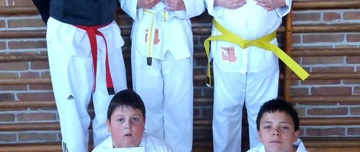SPORTING Taekwondo führt weitere Prüfung in der Schulkooperation durch